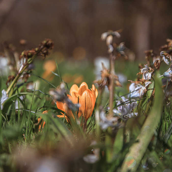 dries - Persoonlijke benadering